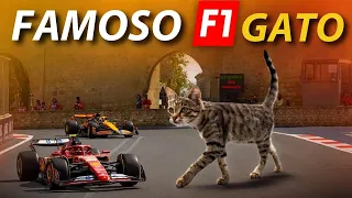 Conoce al famoso gato de la F1 en el GP de Azerbaiyán